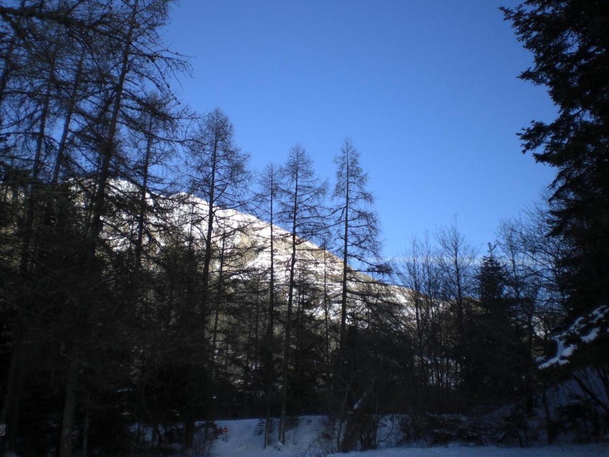 T3 Coquet Et Lumineux Aux Pieds Des Pistes Lejlighed Ancelle Eksteriør billede